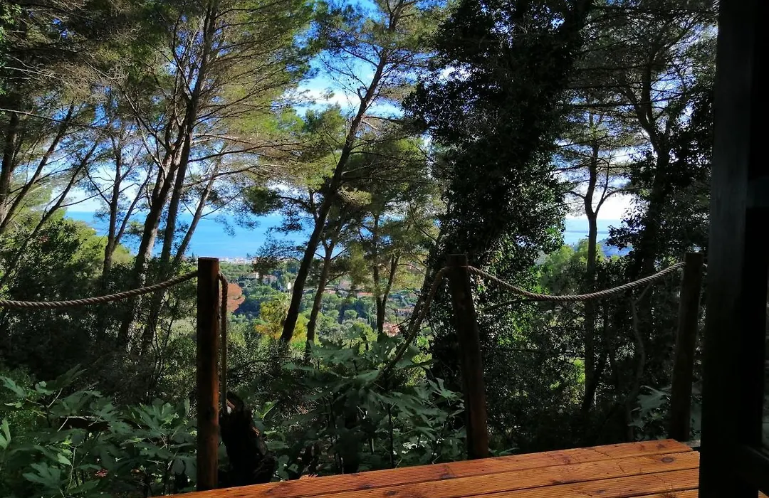 Cabane azur mountain-1